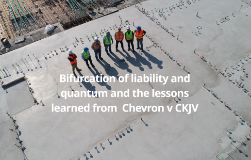 Bifurcation of liability and quantum and the lessons learned from Chevron v CKJV